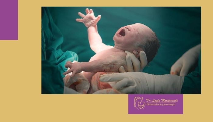 بهترین دکتر زایمان طبیعی در شمال تهران (شیخ بهایی)
