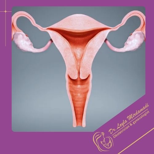 مراقبت‌های قبل از ارزیابی دهانه رحم