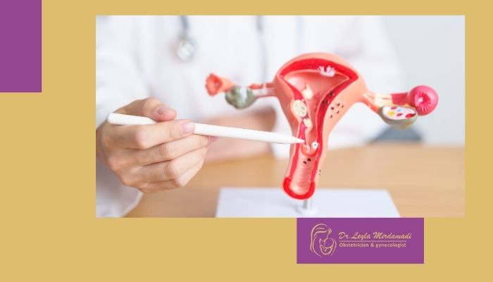لیزر زخم دهانه رحم و ضایعات پوستی در شمال تهران (شیخ بهایی)