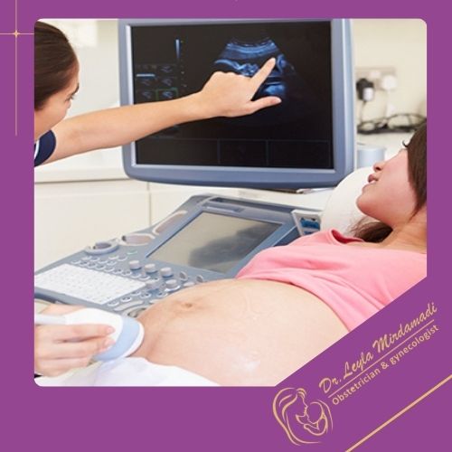 چگونه وزن جنین تخمین زده می‌شود؟